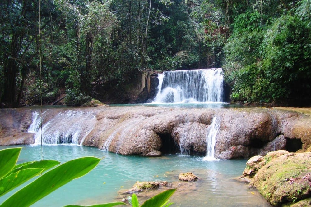 YS Falls Adventure & The Pelican Bar