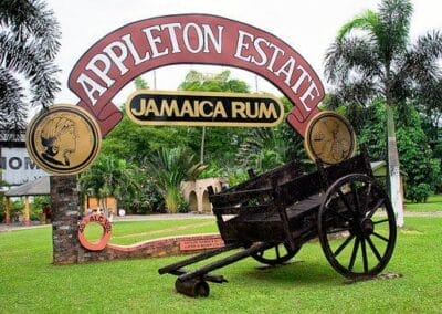 Appleton Estate Rum Tour